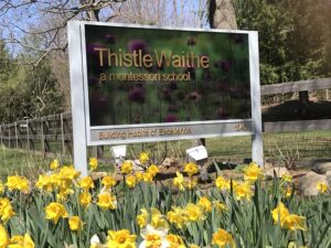 The sign outside Thistlewaithe on Rt 35 bordered by Daffodils